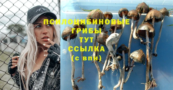кристаллы Алексеевка