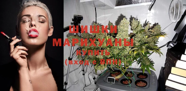 PSILOCYBIN Алексин