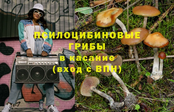 PSILOCYBIN Алексин