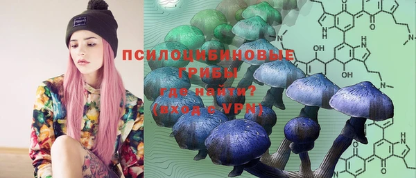 PSILOCYBIN Алексин